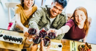 happy friends toasting red wine sitting at restaur 2023 11 27 05 13 11 utc