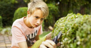 teenage boy pruning plants in garden 2023 11 27 05 08 08 utc